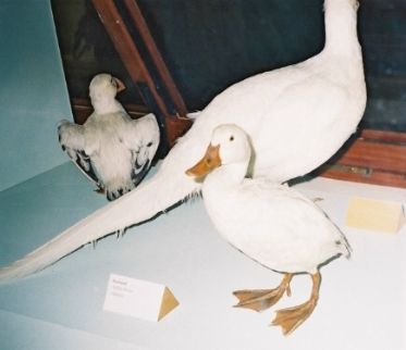   ::   14