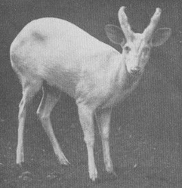   ::   35