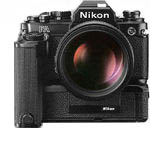   ::  Nikon  131