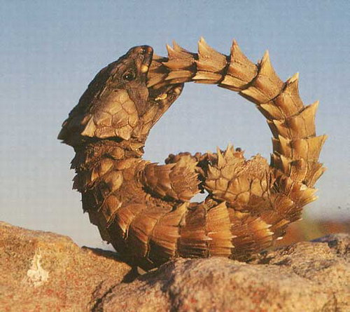   ::    8
