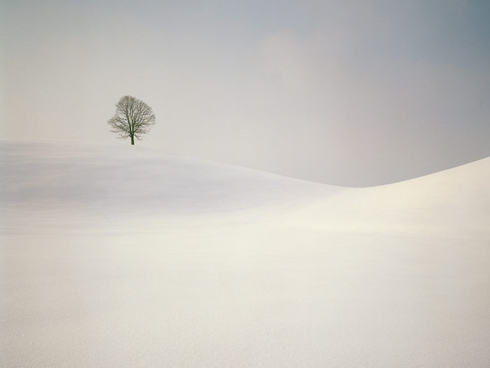     ::   ::  1