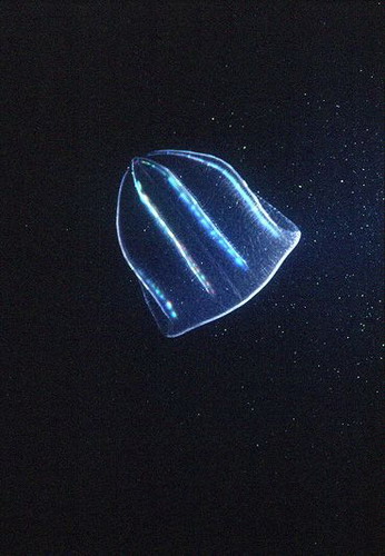   ::   14