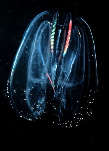   ::   18