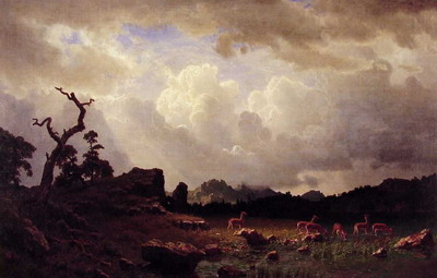  :: Albert Bierstadt  19