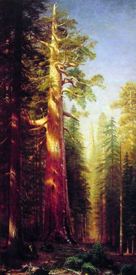  :: Albert Bierstadt  52