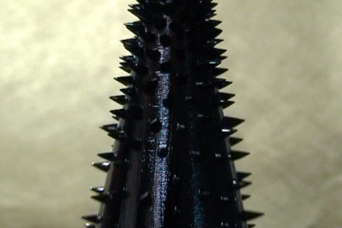   ::       11