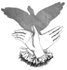   ::   4