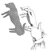   ::   6