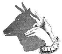   ::   22