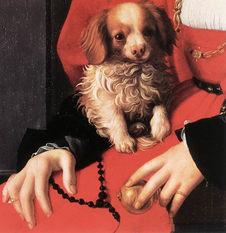  ::   / Agnolo Bronzino ::  1