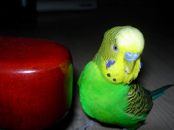  ::    3
