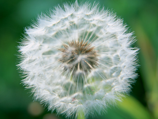   ::      2