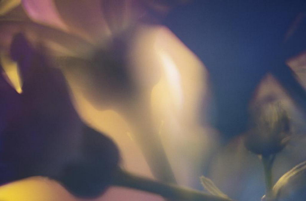    ::     ::  1