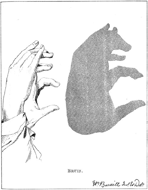   ::     2