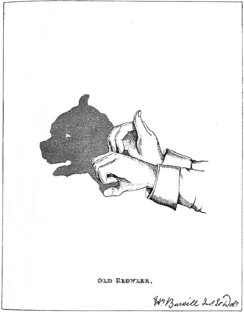   ::     4