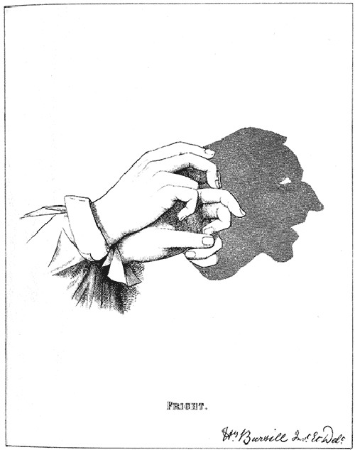   ::     5