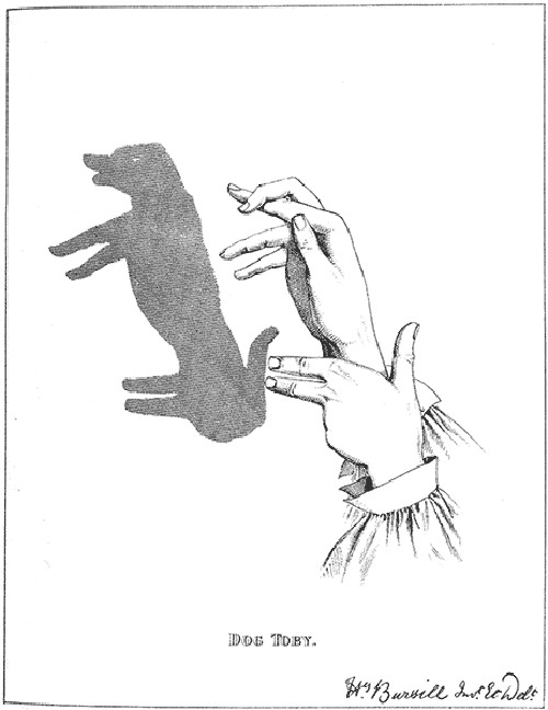   ::     8