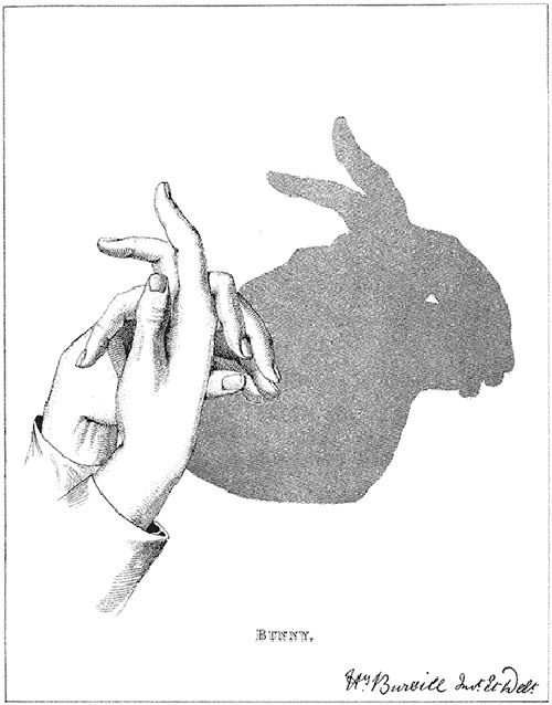  ::     11