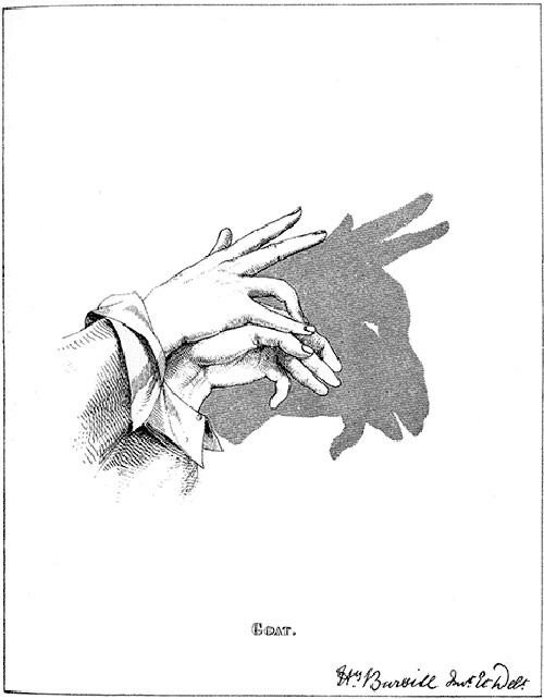   ::     13