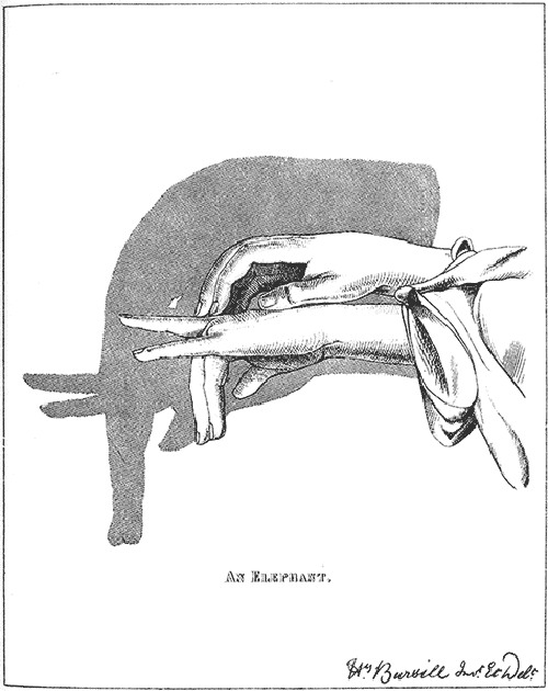   ::     14