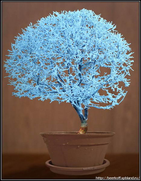   ::    4
