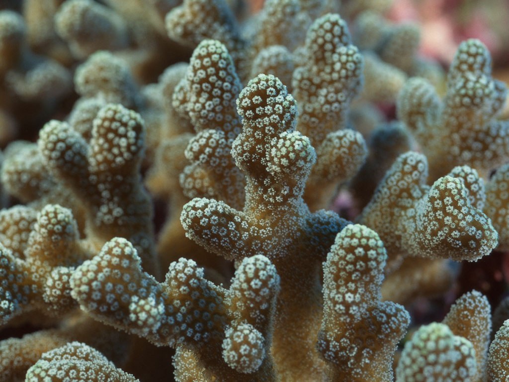     ::   ::  1