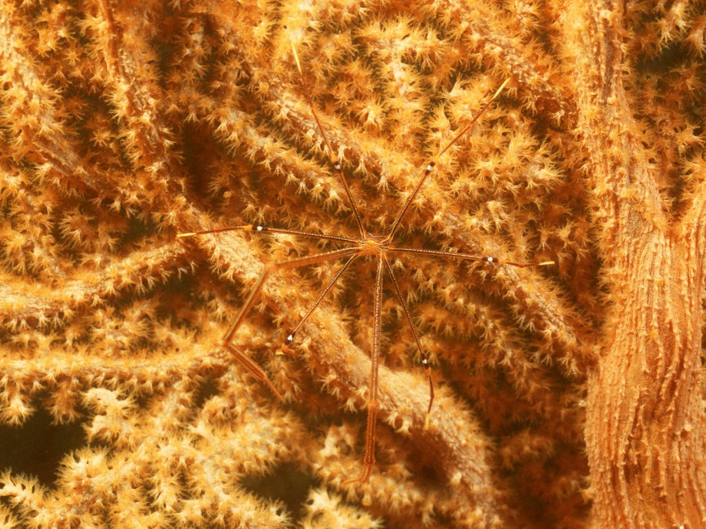     ::   ::  1