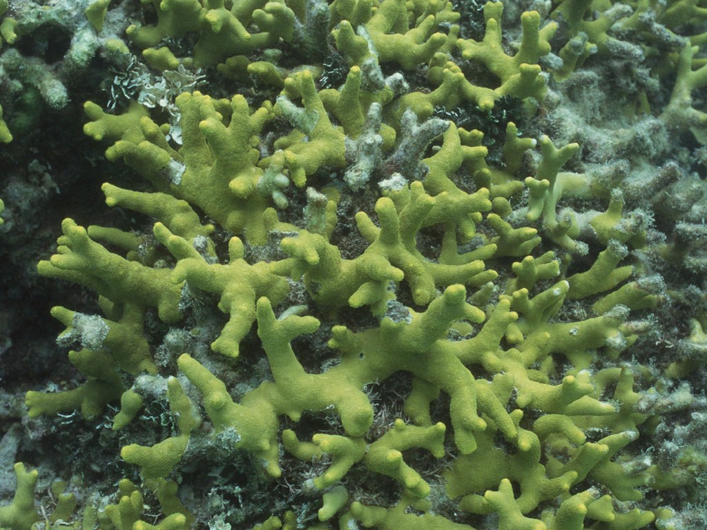     ::   ::  1