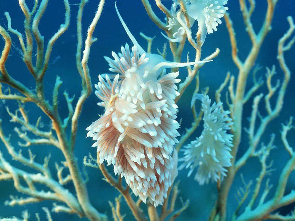     ::   ::  1
