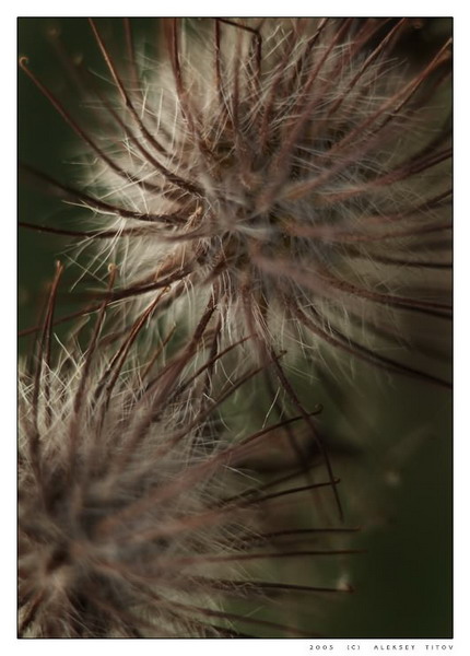  ::     5