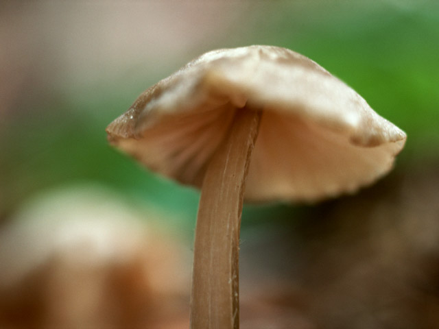  :: , ...  7