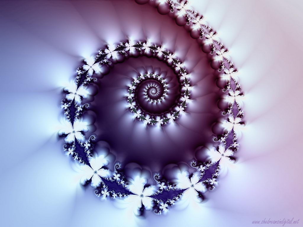    ::    ::  1