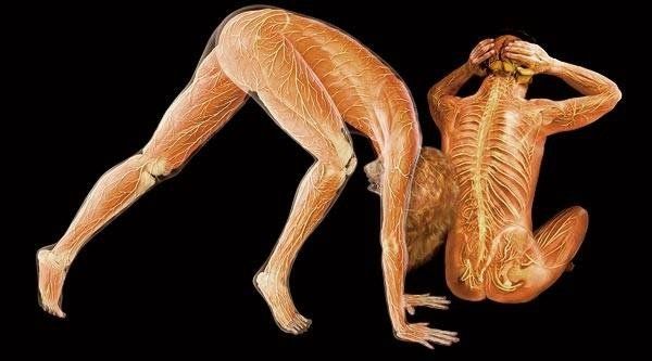  ::    7