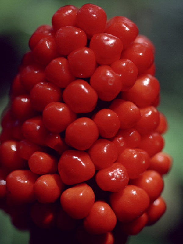   ::    ::  2