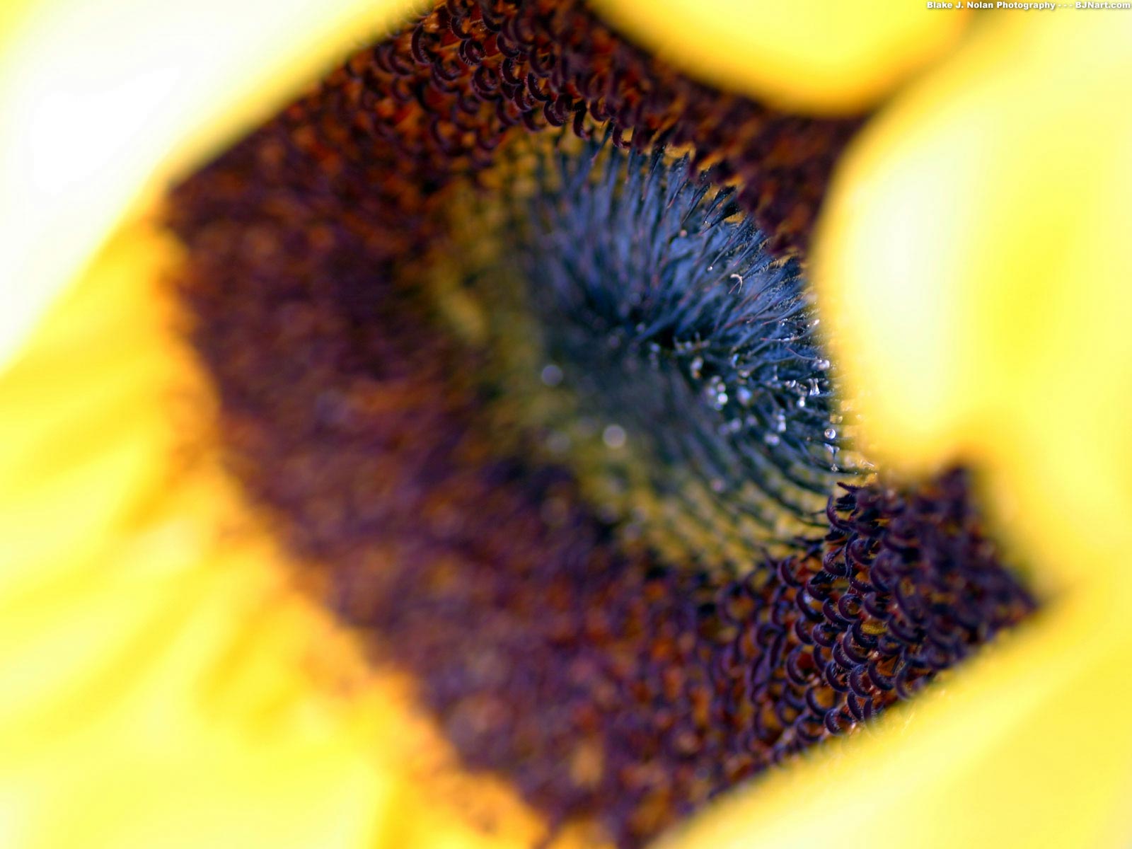     ::      ::  1