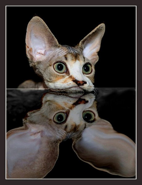   ::    2