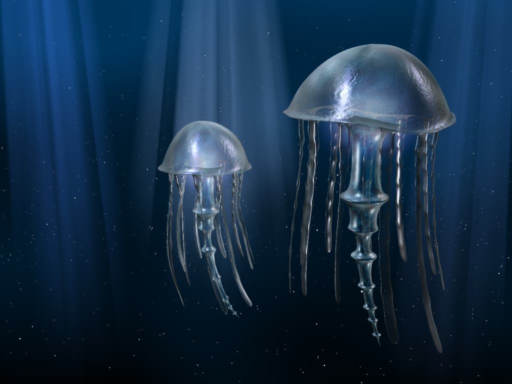     ::  ::  2