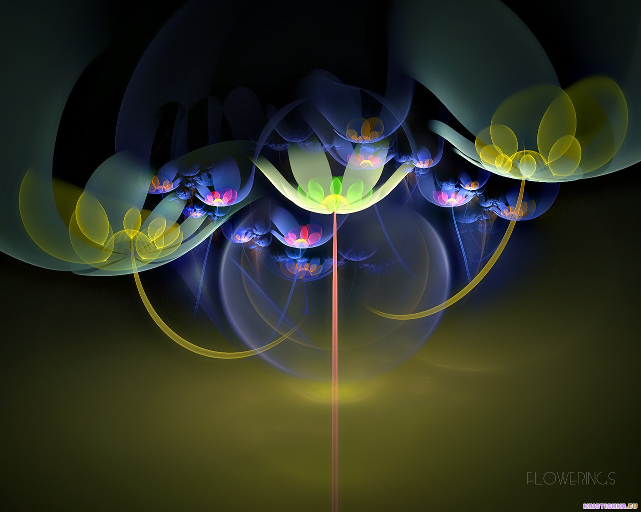  :: 3D  ::  1