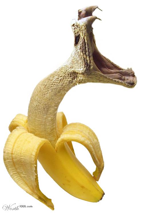  ::    8