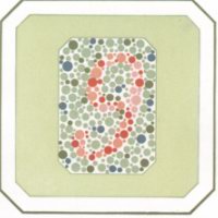   ::      12