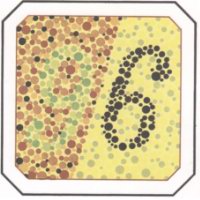   ::      13