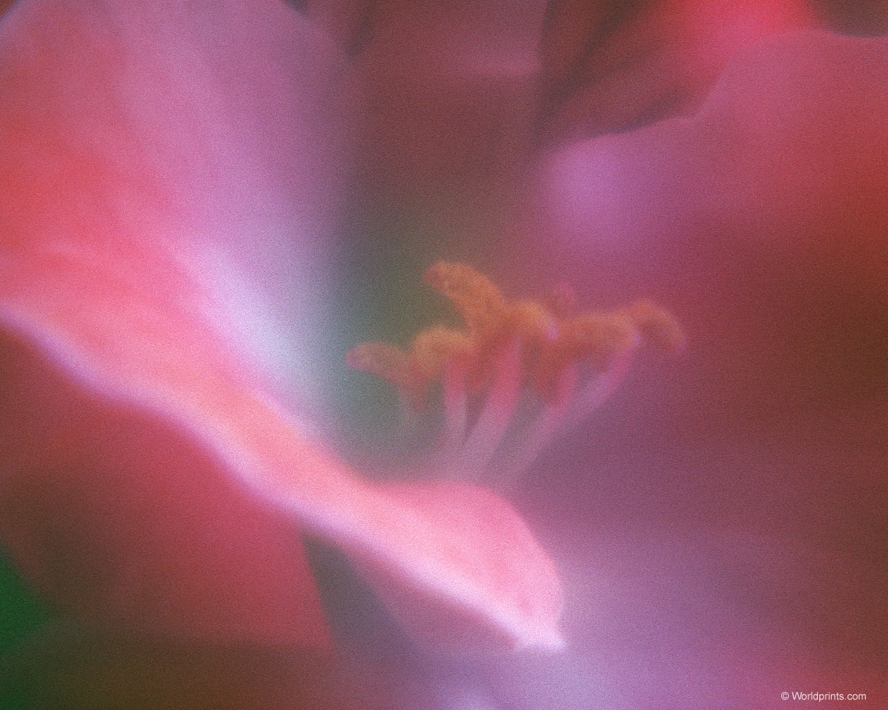     ::   8  ::  1