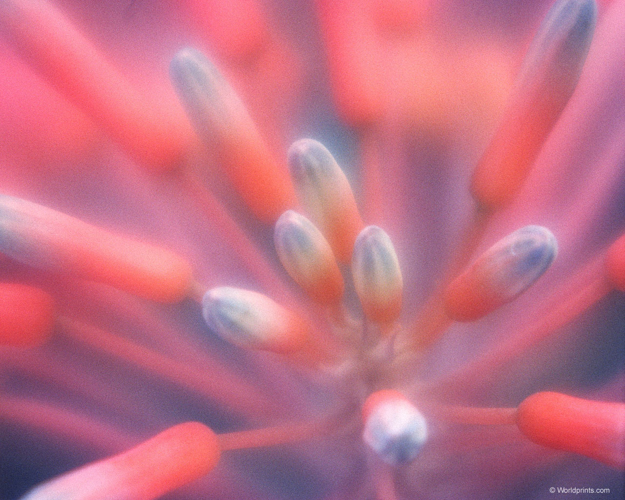    ::   8  ::  1
