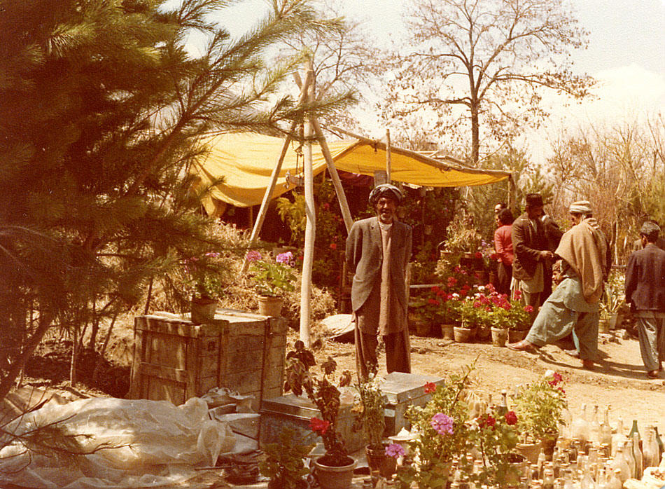  ::  1979 ::  1