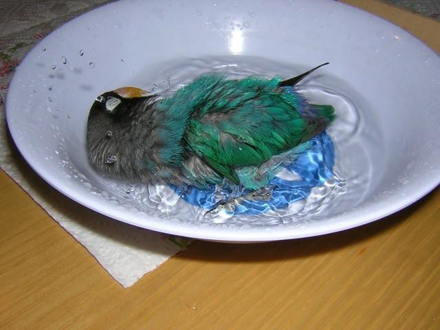   ::     ::  1