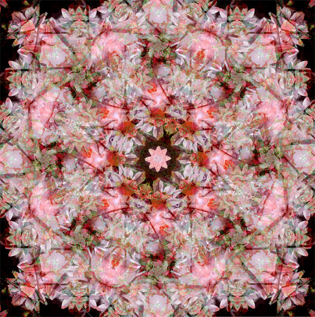   ::  1