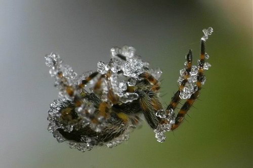   ::     14