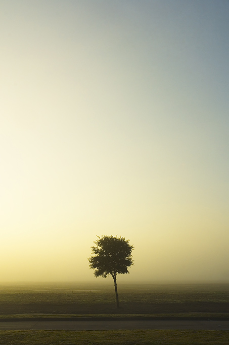  ::  Andrew Hefter ::  1