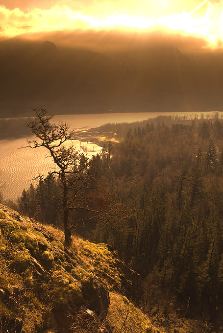  ::  Andrew Hefter ::  1