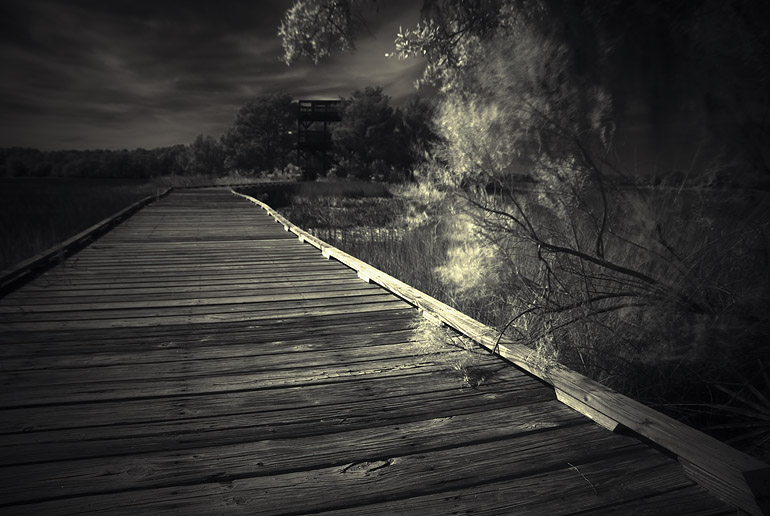  ::  Andrew Hefter ::  1